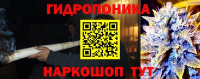 apvp Ирбит